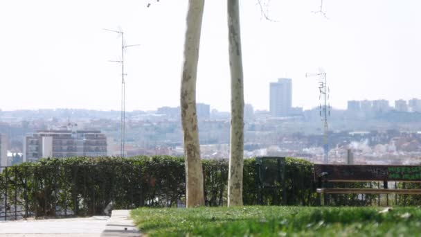 Les touristes regardent le paysage de la ville dans le parc Montana — Video