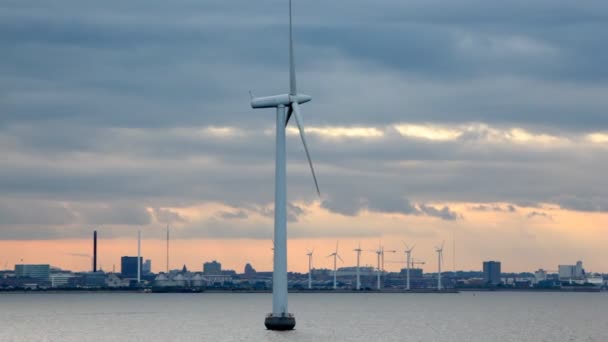 风力发电机的电力上水和岸上 — 图库视频影像