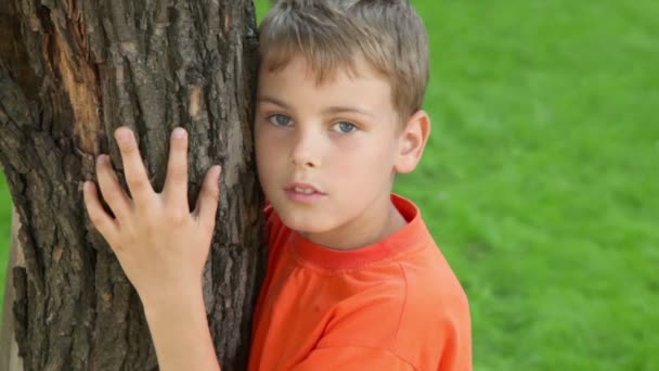 Little boy stands and embraces tree, closeup view at summer day — Stock Video