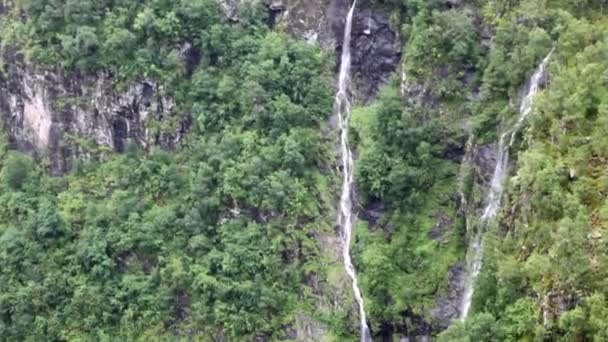 Small falls flow down among rocks covered with violent greens — Stock Video