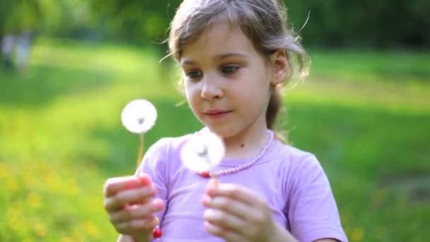 Krásná holčička hraje na zeleném trávníku s pampelišky — Stock video