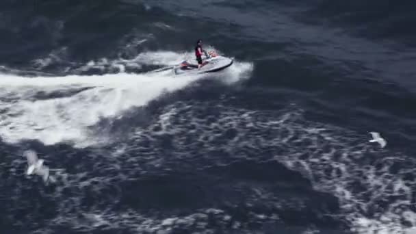 Hombre paseo en scooter de agua en el mar ondulado y pocas gaviotas vuelan alrededor — Vídeos de Stock