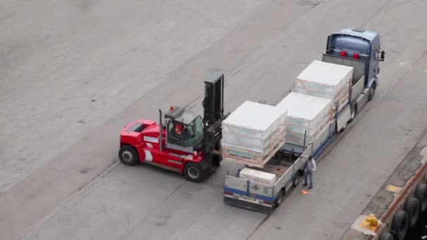 Loader unload truck, labourer walk around and help — Stock Video