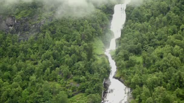 Waterval en rivier onder bos op berg aan de oever van fjord — Stockvideo