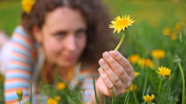 手にタンポポと若い美しい女性がある芝生の上 — ストック動画