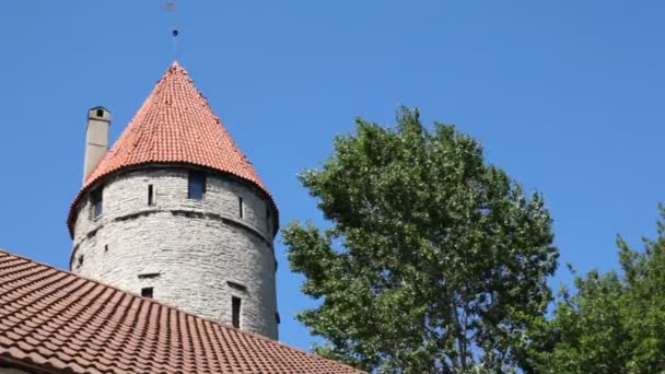 Torre com telhado vermelho azulejos e árvore nas proximidades contra o céu — Vídeo de Stock