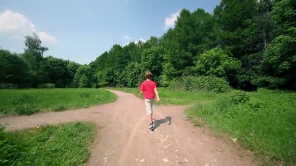 Маленький мальчик идет по земной дороге рядом с лесом, вид сзади — стоковое видео