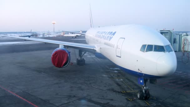 Plane stands in territory of Domodedovo airport — Stock Video