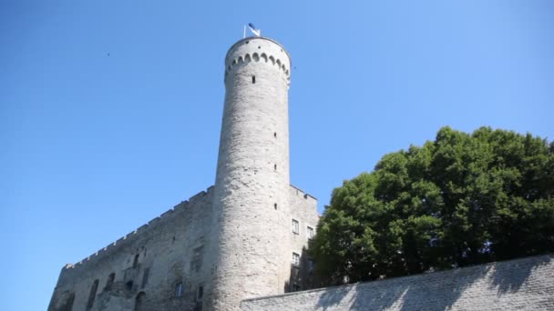 Deel van kasteel met toren lange herman van witte steen — Stockvideo