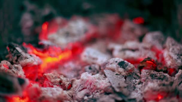 Parpadeo de carbones ardientes yacía en ceniza, vista de cerca — Vídeo de stock
