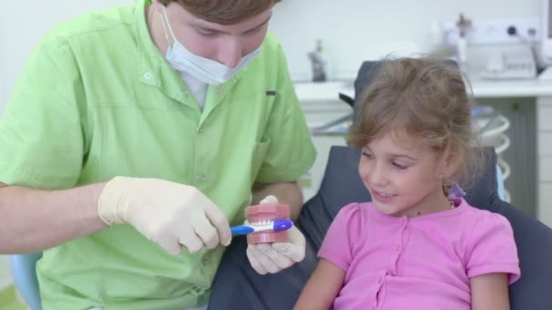 Dentist shows for little girl how to clean teeth by brush — Stock Video