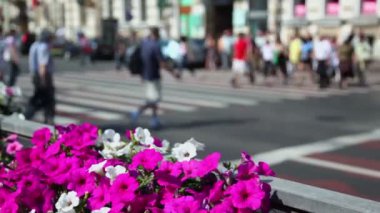 birçok kişi yürüyüş yaya kavşak, çiçek odaklanmak tarafından