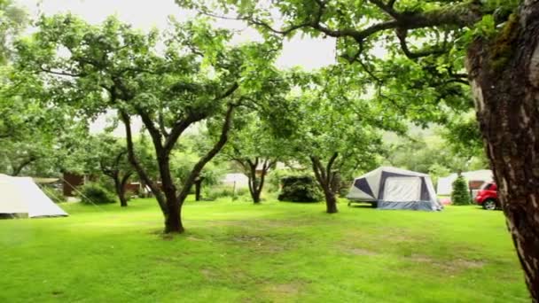 Panorama van camping onder bomen op regenachtige zomerdag — Stockvideo
