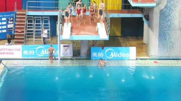 Sportswomen train in pool on World FINA series on diving — Stock Video