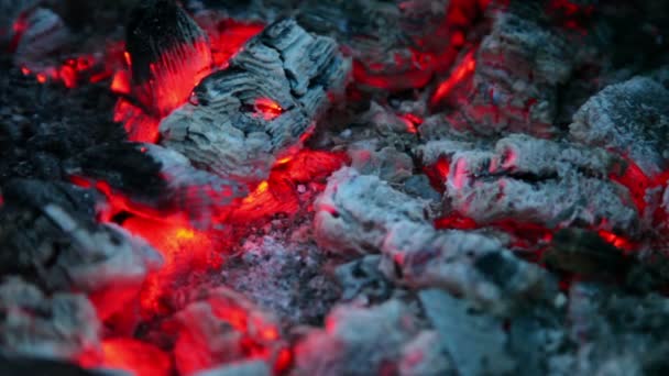 Flicker of smoldering embers lay in ashes, closeup view — Stock Video