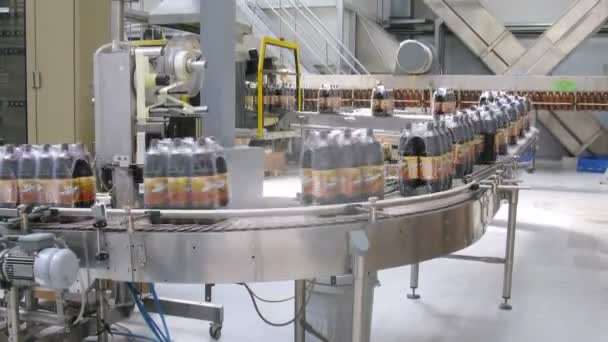 Flessen met kvas verplaatsen op transportband op plant — Stockvideo