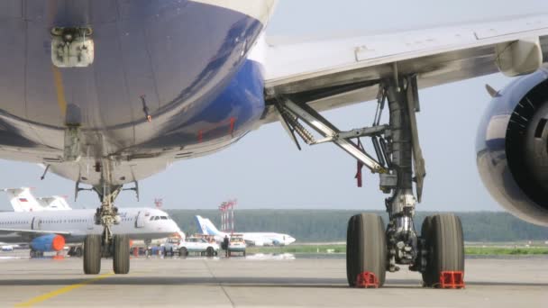 Avión se levanta en la pista contra el bosque, en el aeropuerto de Domodedovo — Vídeos de Stock