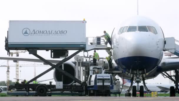 Рабочие выгружают грузы с самолета, в аэропорту Домодедово — стоковое видео