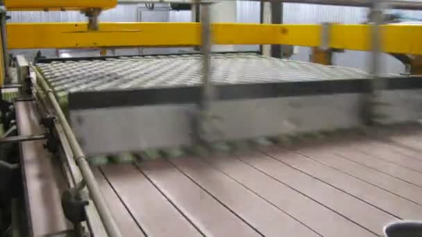 Latas de aluminio con movimiento de bebidas en el transportador en la planta de Ochakovo — Vídeo de stock