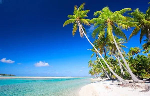 Perfect tropical beach Stock Photo