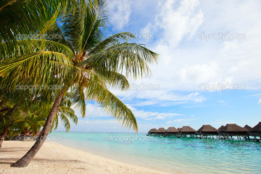 Perfect beach on Moorea