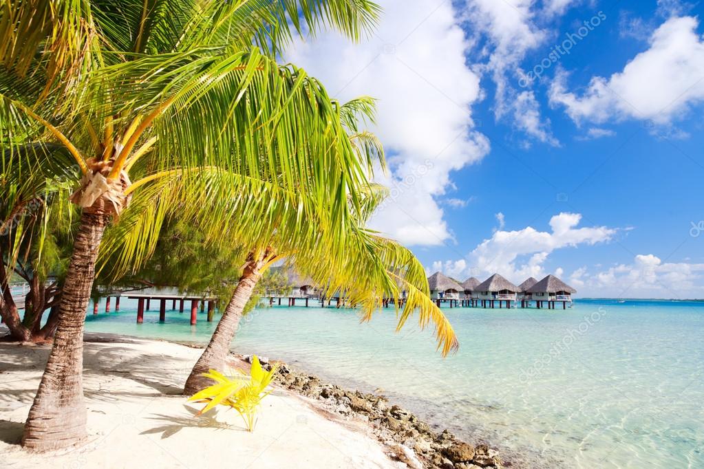 Perfect beach on Bora Bora