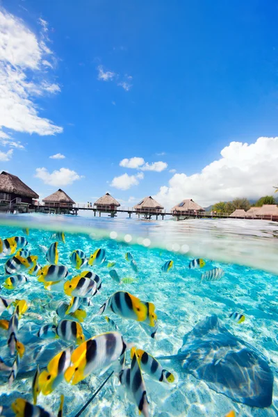 French Polynesia — Stock Photo, Image