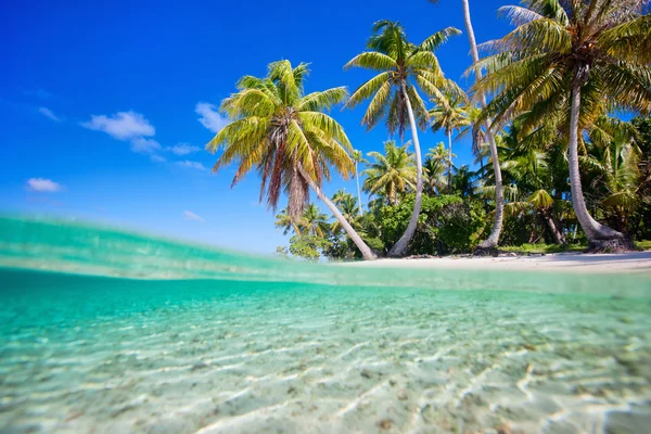 Tropical island — Stock Photo, Image