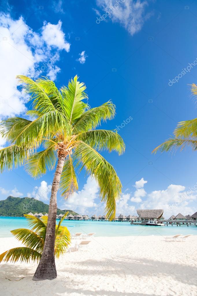 Beautiful beach on Bora Bora