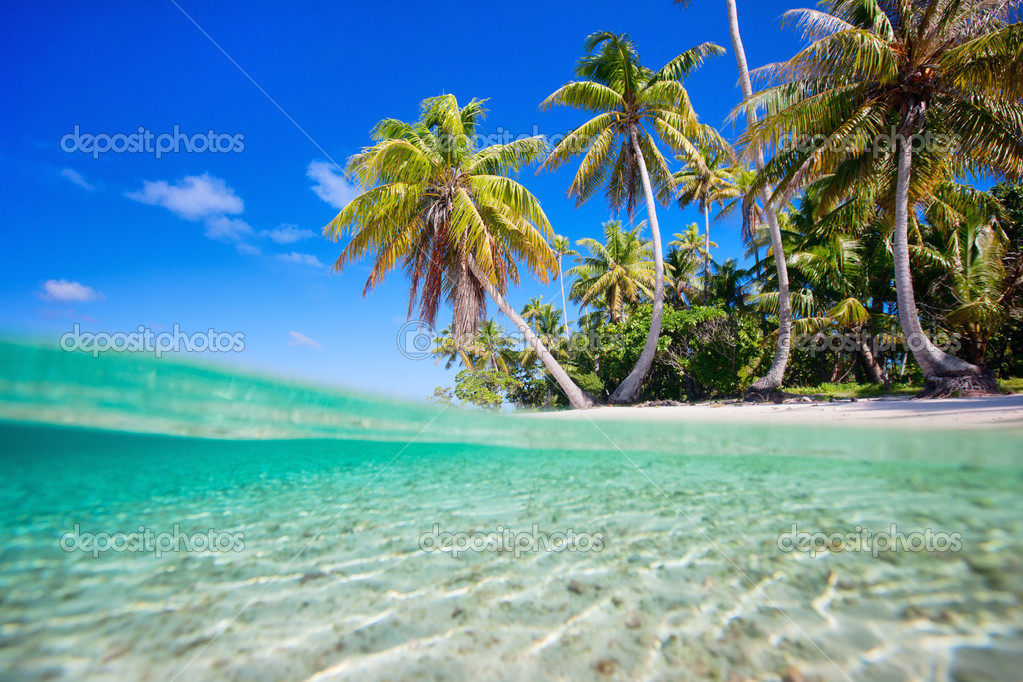 Island tropics Island tropics