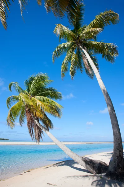 Playa tropical perfecta — Foto de Stock