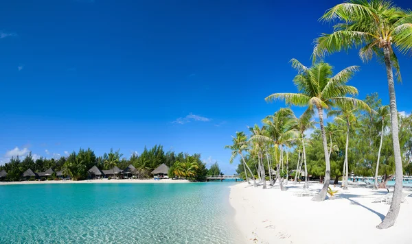 Schöner strand auf bora bora — Stockfoto