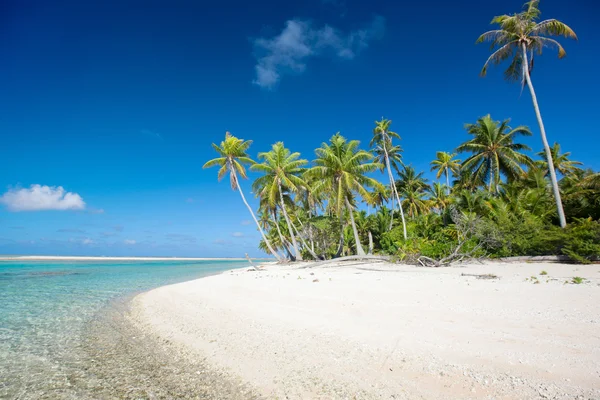 Stunning tropical beach — Stock Photo, Image