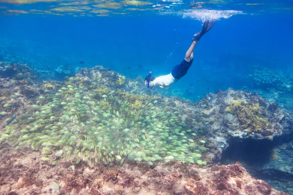 Hombre de buceo hacia la escuela de peces — Foto de Stock