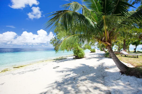 Spiaggia tropicale — Foto Stock