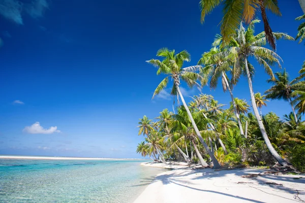 Perfect tropical beach — Stock Photo, Image