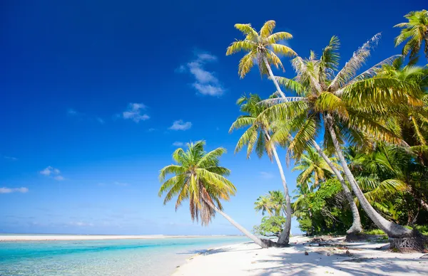 Tökéletes tropical beach — Stock Fotó