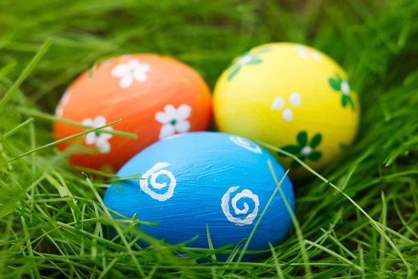 Easter eggs on a grass — Stock Photo, Image