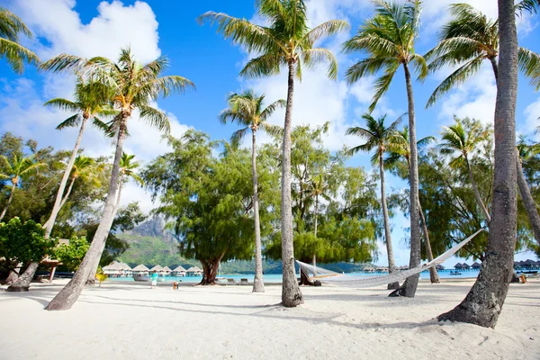 Playa en Bora Bora —  Fotos de Stock