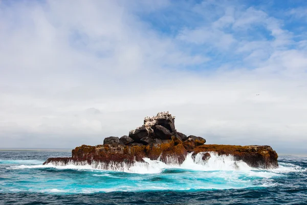Deniz kuşları ile kaya — Stok fotoğraf