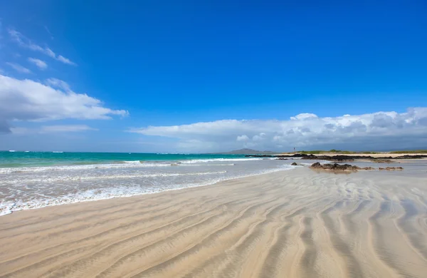 Stranden på galapagos isabela island, ecuador — Stockfoto