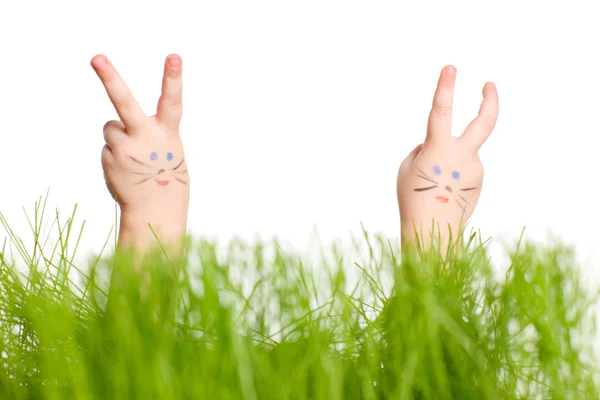 Easter bunnies — Stock Photo, Image