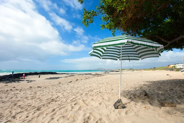 Strand op galapagos isabela eiland, ecuador — Stockfoto