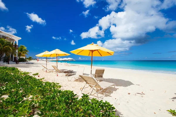 Liegestühle und Sonnenschirme am tropischen Strand — Stockfoto