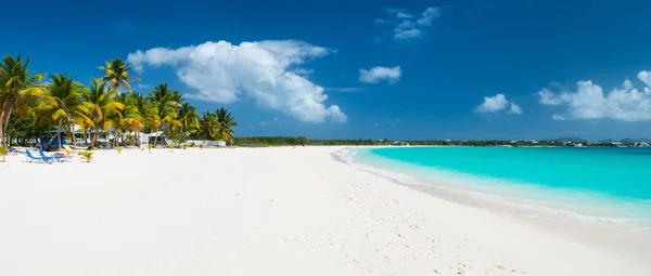 Panorama piękny plaża karaibska — Zdjęcie stockowe