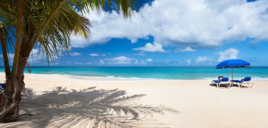 güzel bir caribbean beach Panoraması