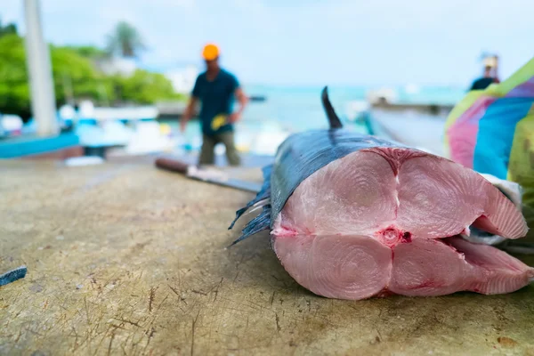 Świeże ryby na rynku owoców morza — Zdjęcie stockowe
