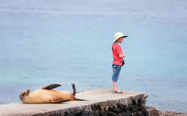 岩だらけの海岸で海のライオンの女性の杖少年 — ストック写真