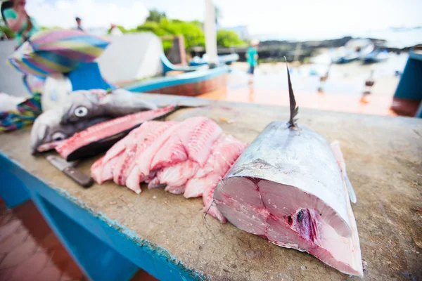 Fresh fish at seafood market in Ecuador — Stock Photo, Image