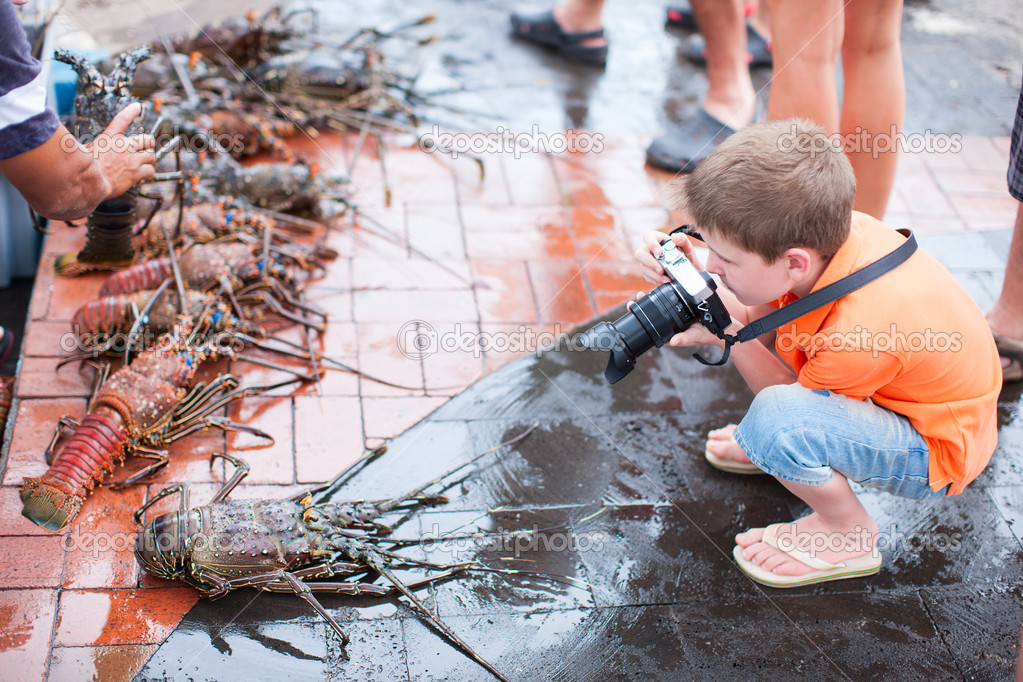 Cute little boy photographing at seafood market